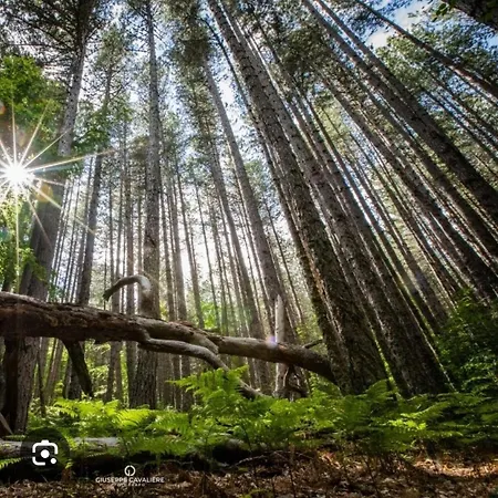 شقة Mansarda Casalina Casole Bruzio